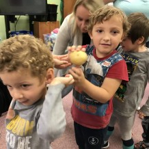 MŠ - OVOCE A ZELENINA