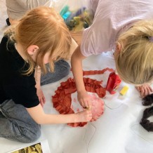 ŠD - Fernão de Magalhães