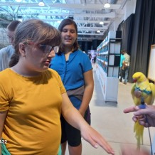 IV.A - Pod křídly exotů