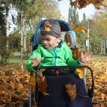 Podzim v naší škole