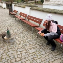 IV.B - Zámek Pardubice