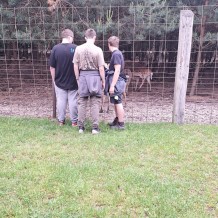 Hradecké lesy II.A+III.A