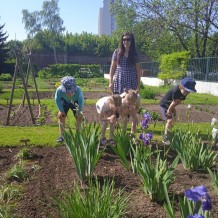 MŠ - Botanická zahrada