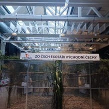 IV.A - Pod křídly exotů