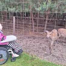 Hradecké lesy II.A+III.A