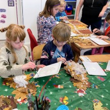 ŠD - Sněžná sova