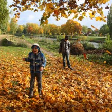 Podzim v naší škole