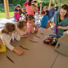 Projektový den Ovečky.