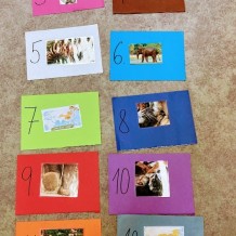 ŠD - Asijská zvířata hravě