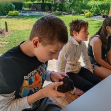 Projektový den Ovečky.