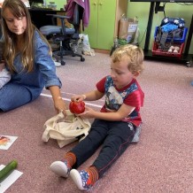 MŠ Ovoce, zelenina, houby