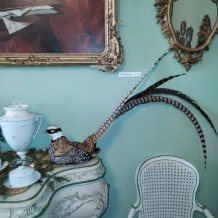 IV. A - Výlet do Chlumce nad Cidlinou na zámek Karlova Koruna