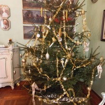 IV. A - Výlet do Chlumce nad Cidlinou na zámek Karlova Koruna