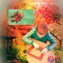 ŠD - Tvoření podzimní okénko