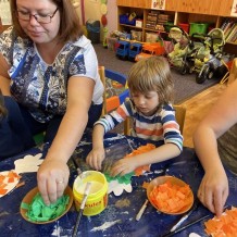 MŠ Ovoce, zelenina, houby