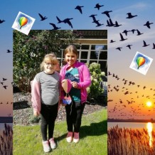 ŠD - Odlétáme za dobrodružstvím