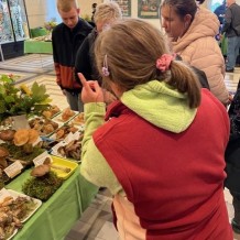 IV.A – výstava hub