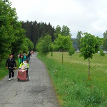 Medlov - ozdravný pobyt II