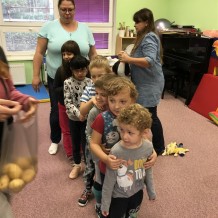 MŠ - OVOCE A ZELENINA