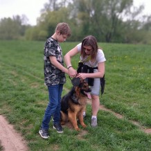 2.A - chodský pes, kvádr a krychle, vycházka kaštankou , MDD 2021