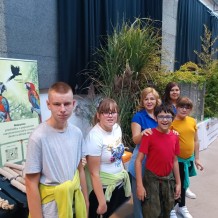 IV.A - Pod křídly exotů