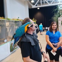 IV.A - Pod křídly exotů