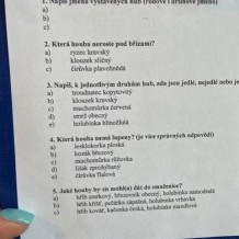 IV.A – výstava hub