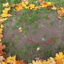 Podzim v naší škole