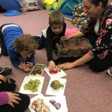 MŠ - OVOCE A ZELENINA