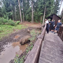 Hradecké lesy II.A+III.A