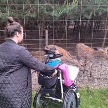 Hradecké lesy II.A+III.A