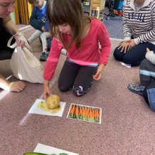 MŠ Ovoce, zelenina, houby