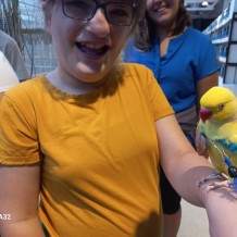 IV.A - Pod křídly exotů