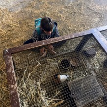 Příměstský pohádkový tábor – „ŘÍŠE POHÁDEK“