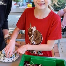 ŠD - „Lampionky našich prázdnin“