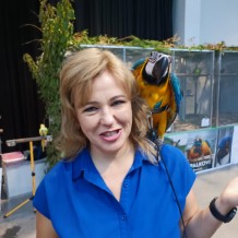 IV.A - Pod křídly exotů