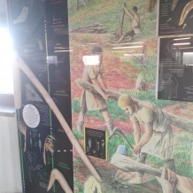 II. třída Archeopark Všestary