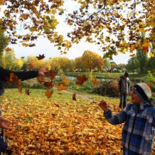 Podzim v naší škole