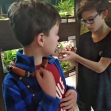 II. třída - chovatelské centrum ZŠ Bezručova