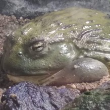 II. třída - chovatelské centrum ZŠ Bezručova