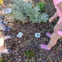 Projektový den Ovečky.