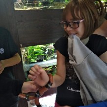 II. třída - chovatelské centrum ZŠ Bezručova