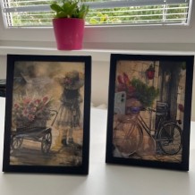 SŠ - Malování kávou