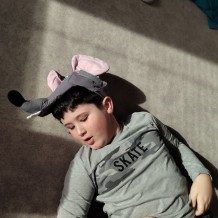 MŠ -  "Táhli , táhli až řepu vytáhli"