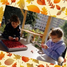 ŠD - Podzimní tvoření