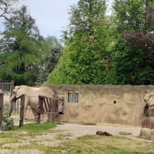 SŠ - ZOO Dvůr Králové