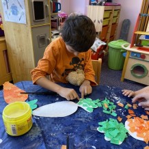 MŠ Ovoce, zelenina, houby