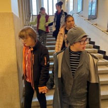 IV.A – výstava hub