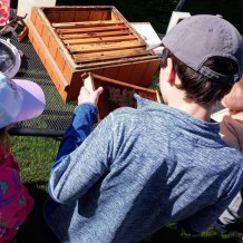 Příměstský pohádkový tábor – „ŘÍŠE POHÁDEK“