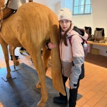 IV.B - Zámek Pardubice